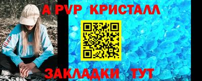 дмт Гай