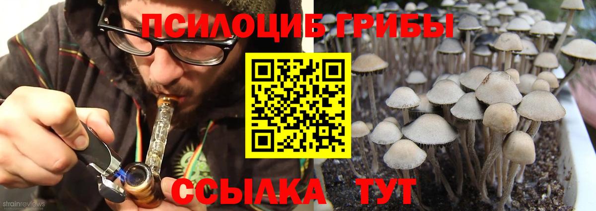 Псилоцибиновые грибы GOLDEN TEACHER Качканар